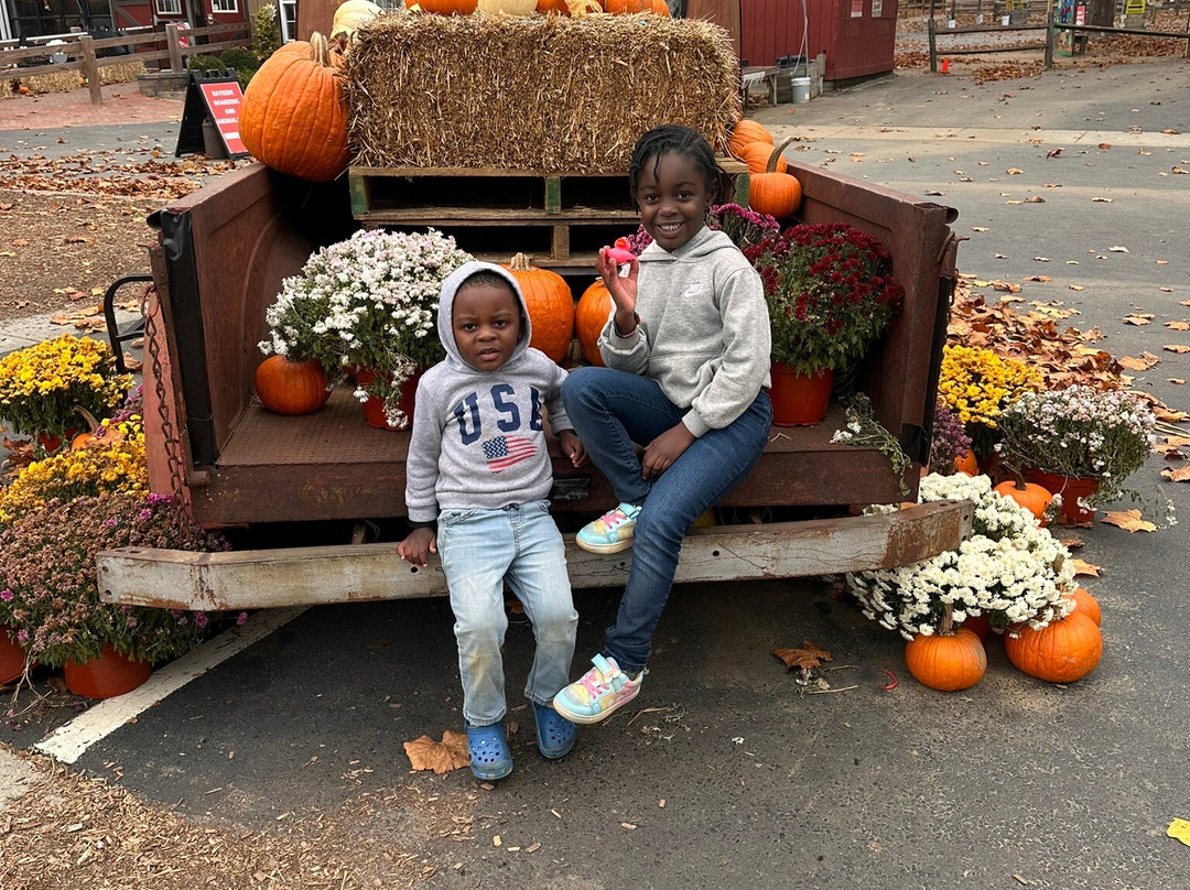 Johnson's Corner Farm-Medford必去景点