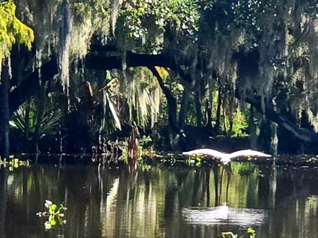 Louisiana Tour Company-Marrero必去景点