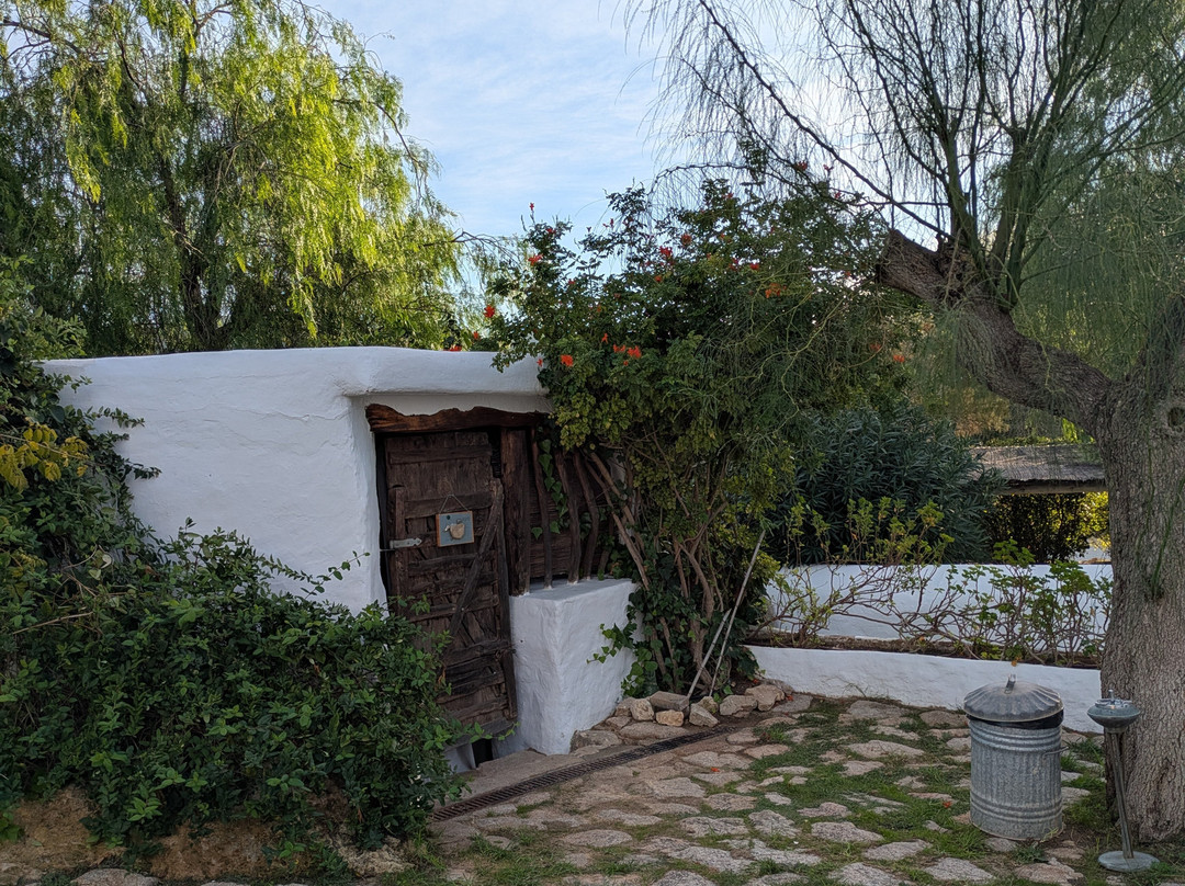 Can Quince Balafia Ibiza Hotel主图