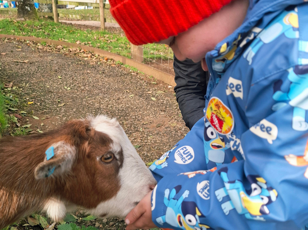 Pennywell Farm-Buckfastleigh必去景点