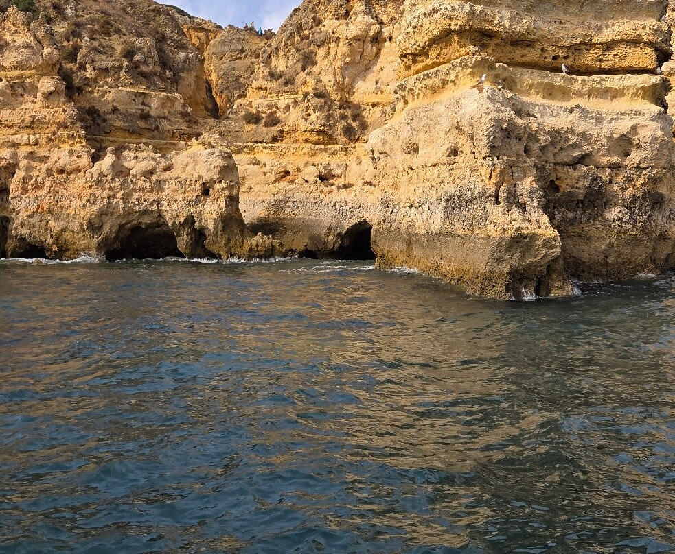 Across Portugal-卡卡维卢斯必去景点