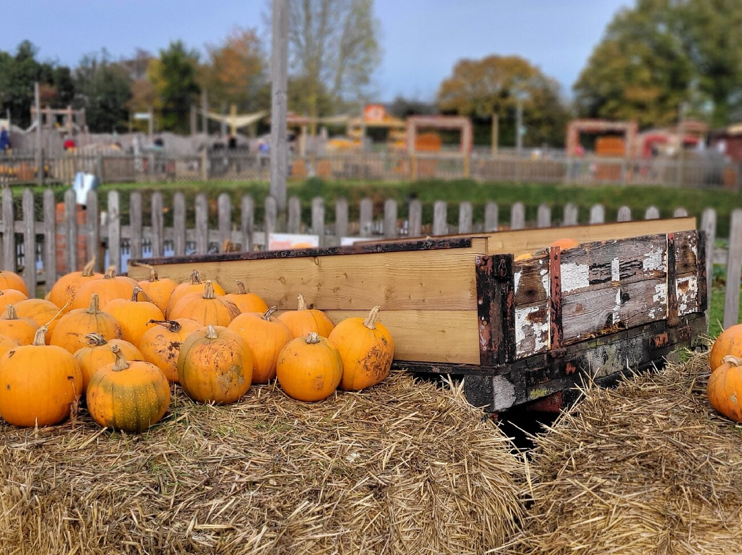 Odds Farm Park-海威科姆必去景点