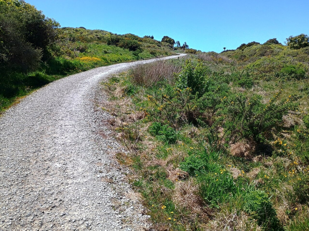 Kawatiri Coastal Trail-韦斯特波特必去景点