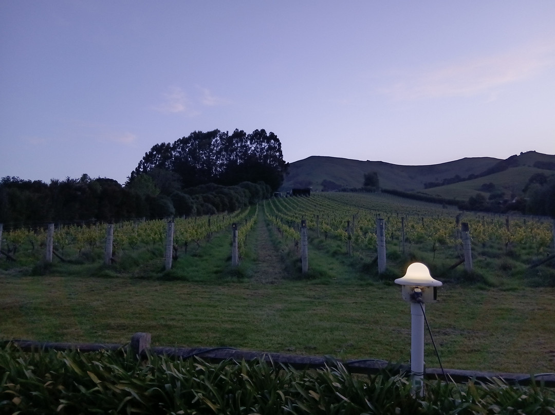 French Peak Vineyard-阿卡罗阿必去景点