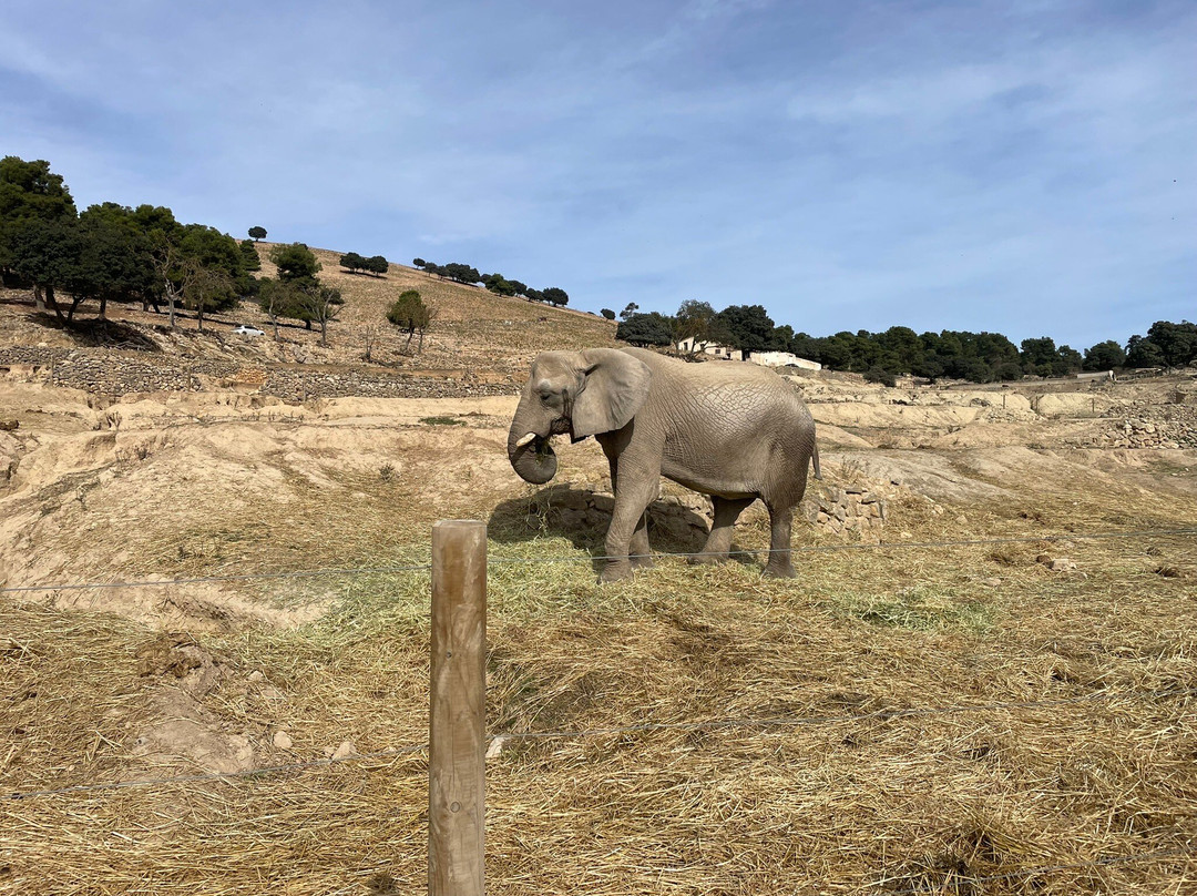 Safari Aitana-Penaguila必去景点