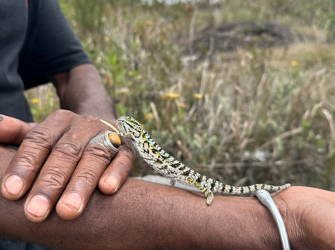 Namiouh Dago tour-安齐拉贝必去景点