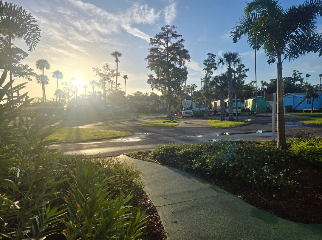 Encore Tropical Palms主图