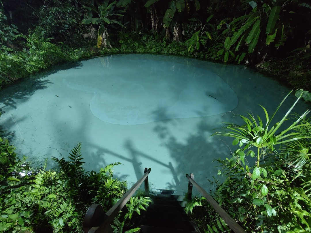 Fervedouro e Restaurante Beija-Flor