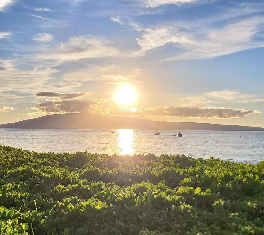 Whalers Village-拉海纳必去景点