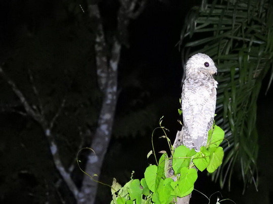 Road Scholar-波士顿必去景点