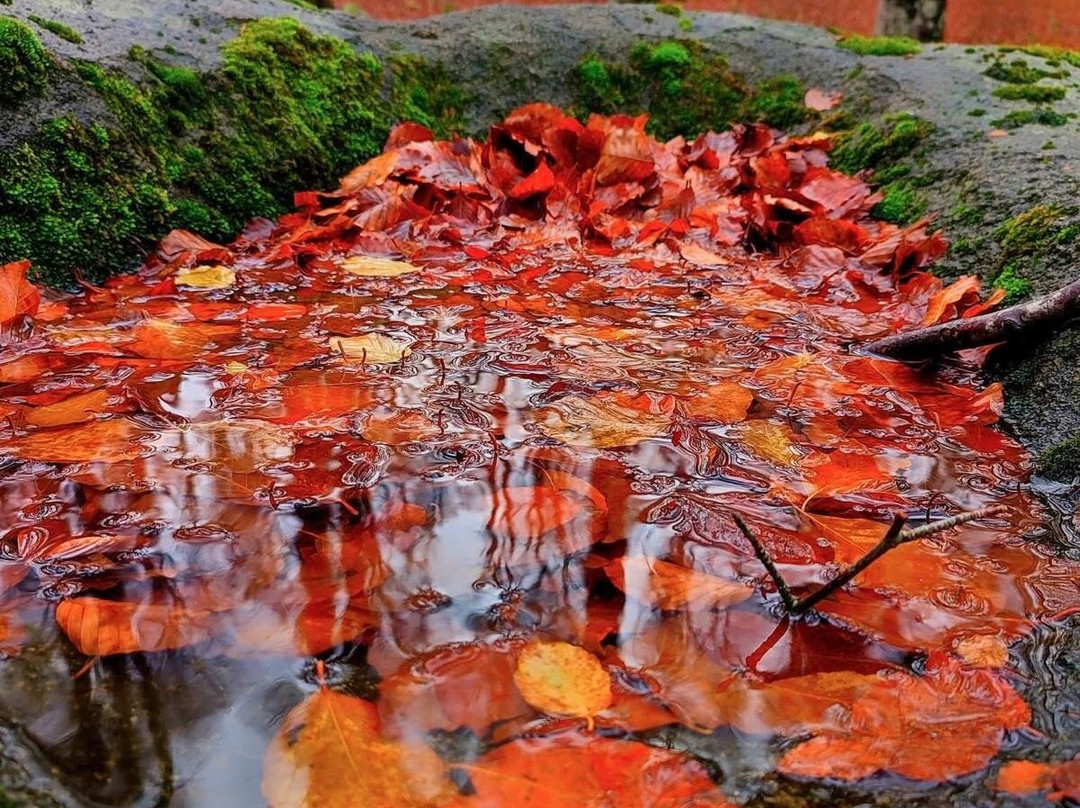 Monte Amiata-托斯卡纳必去景点