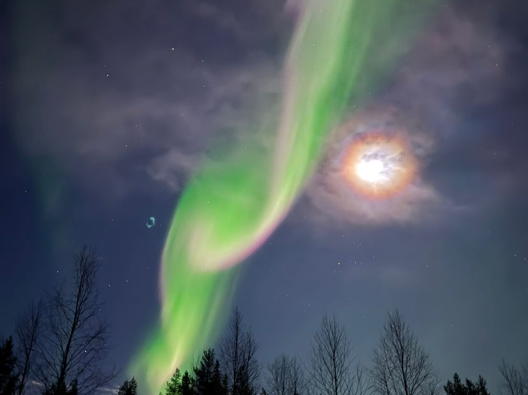 Arctic Timetravels-撒利塞卡必去景点