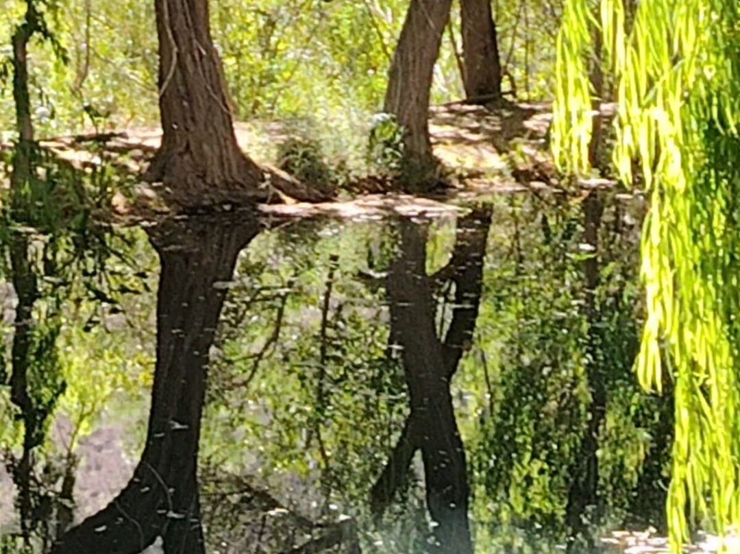 Cavas Del Valle-Monte Grande必去景点