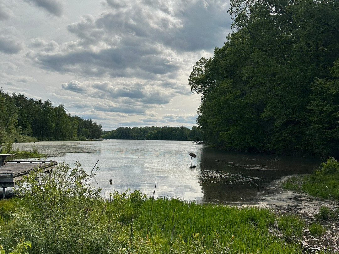 Stone Valley Recreation Area-宾夕法尼亚州学院必去景点