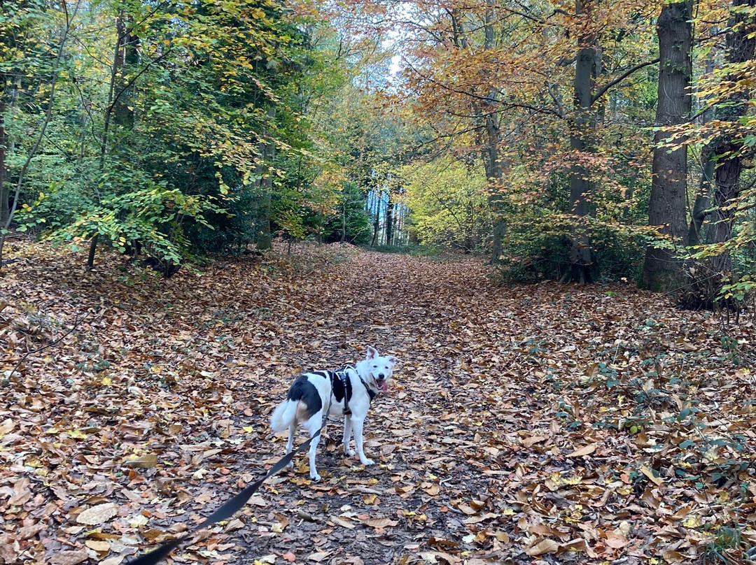 Holt Country Park-诺威奇必去景点