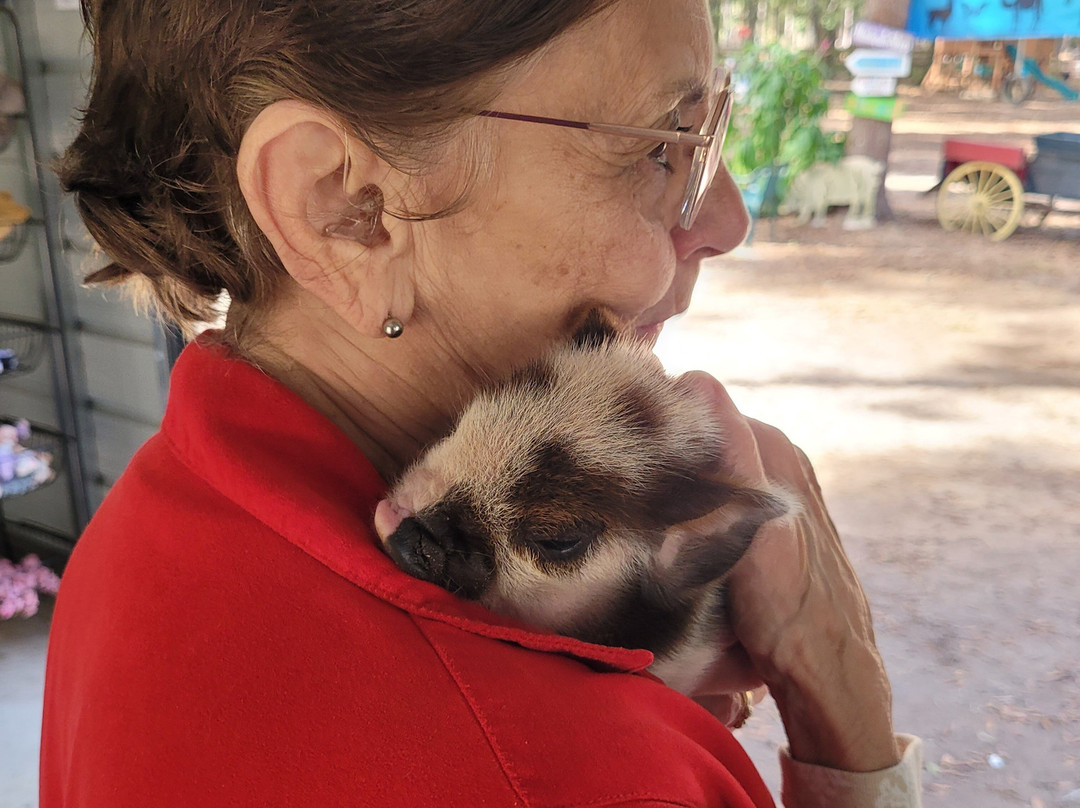 Redemptive Love Farm-Miccosukee必去景点