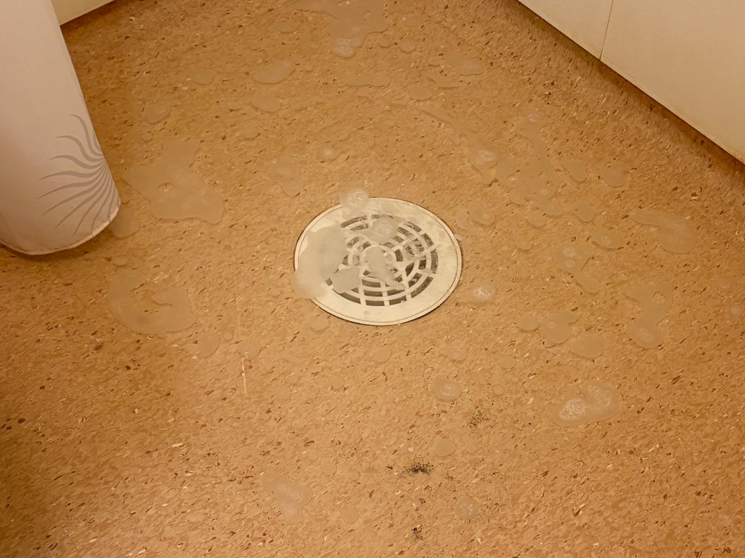 Fjalladyrd - Fjallakaffi主图