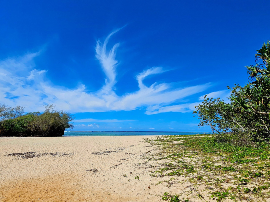 Ecotrax Fiji-辛加东卡必去景点