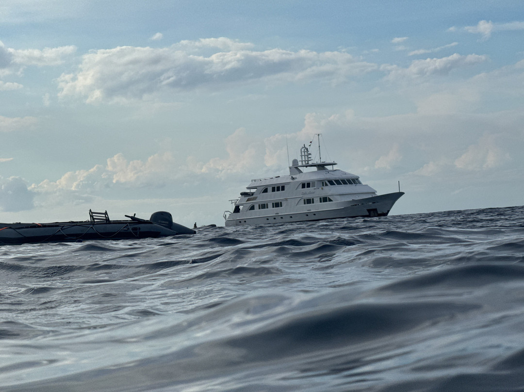 科提兹海-下加利福尼亚州必去景点