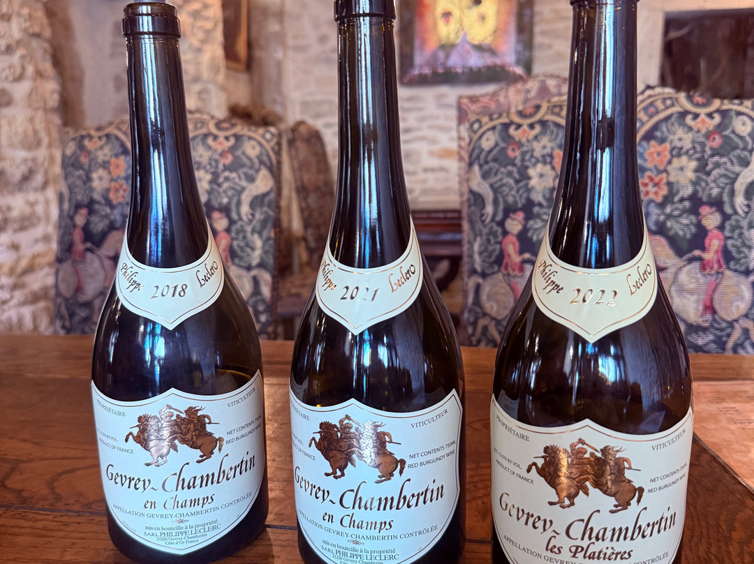 Safari Tours-博讷必去景点