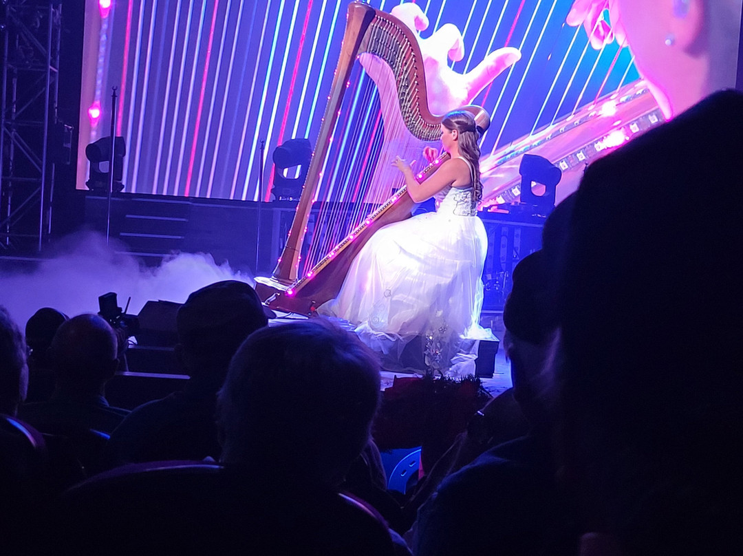 The Haygoods-布兰森必去景点