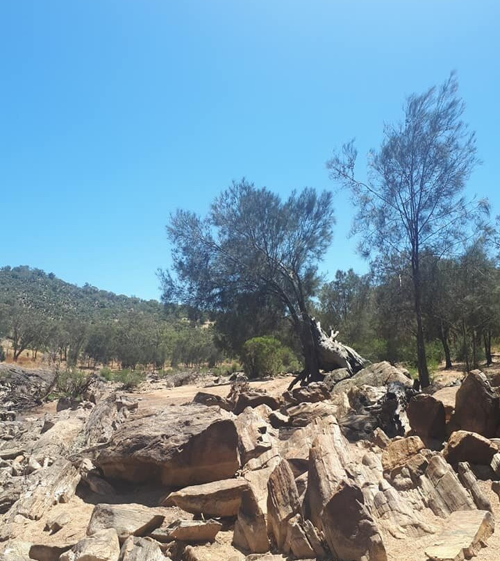 Bells Rapids Park-Brigadoon必去景点