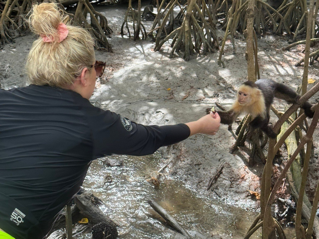 Tide Water Adventure-Playas del Coco必去景点