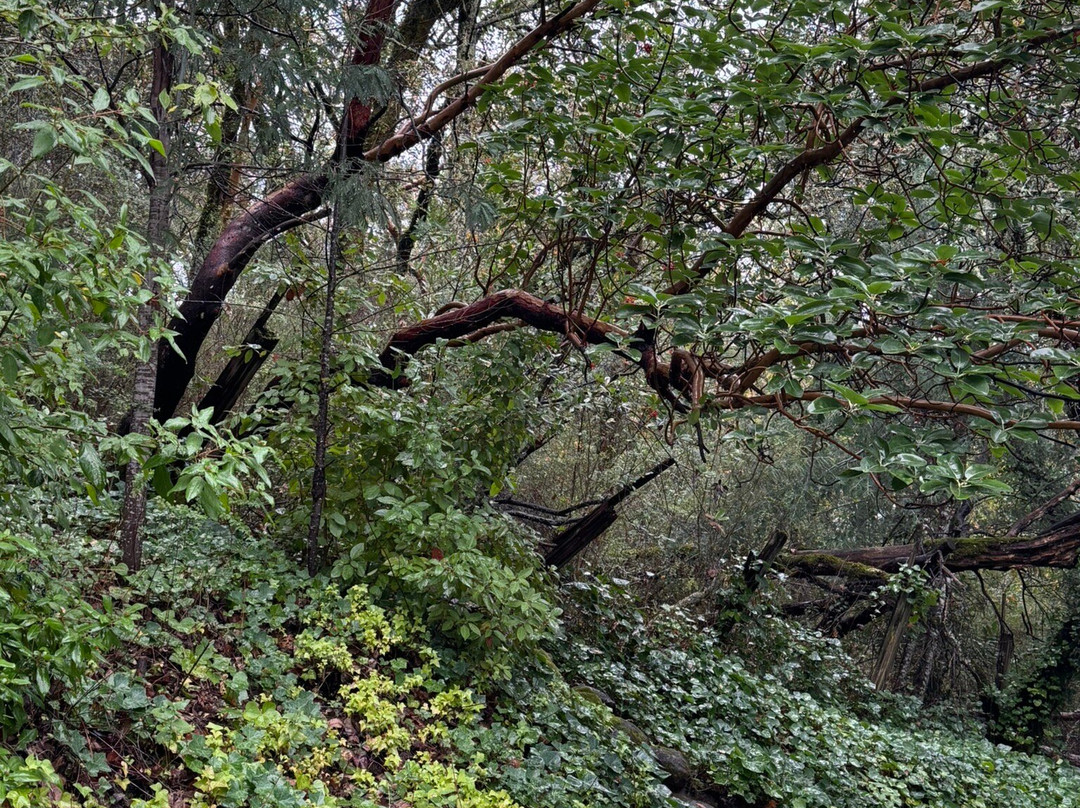 Potter's Foothill House B&B主图