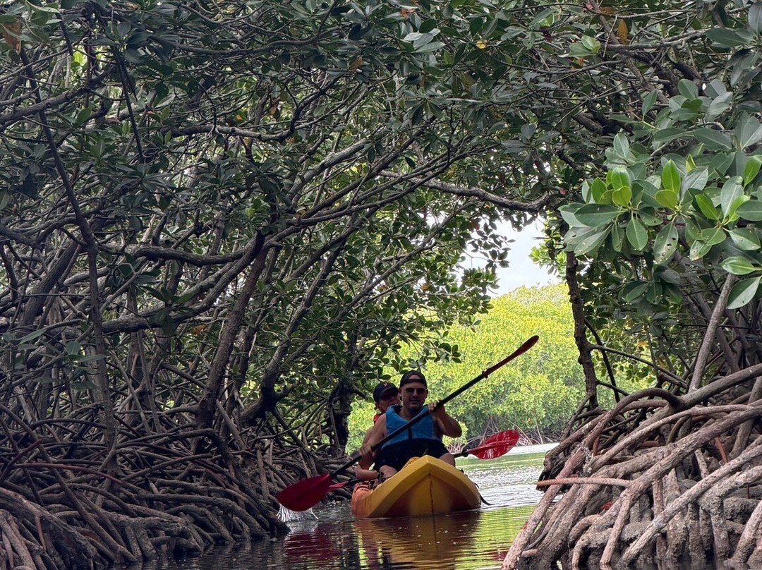 Sea Kayak Adventures-毛里求斯必去景点
