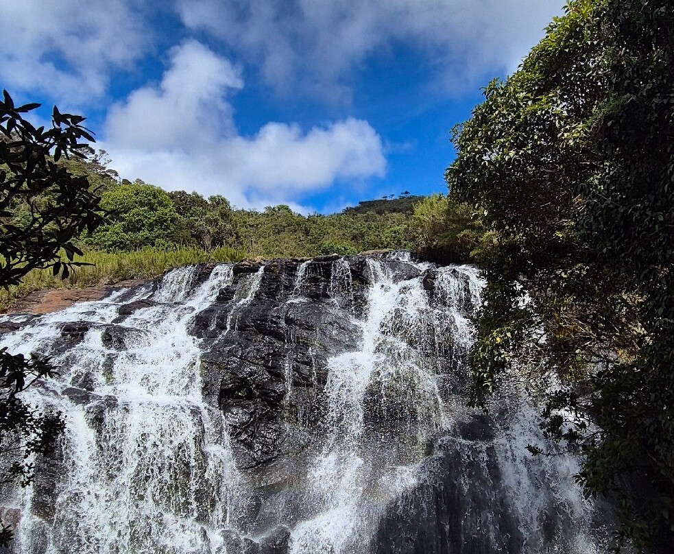 Paradise Island Safari-Gampola必去景点