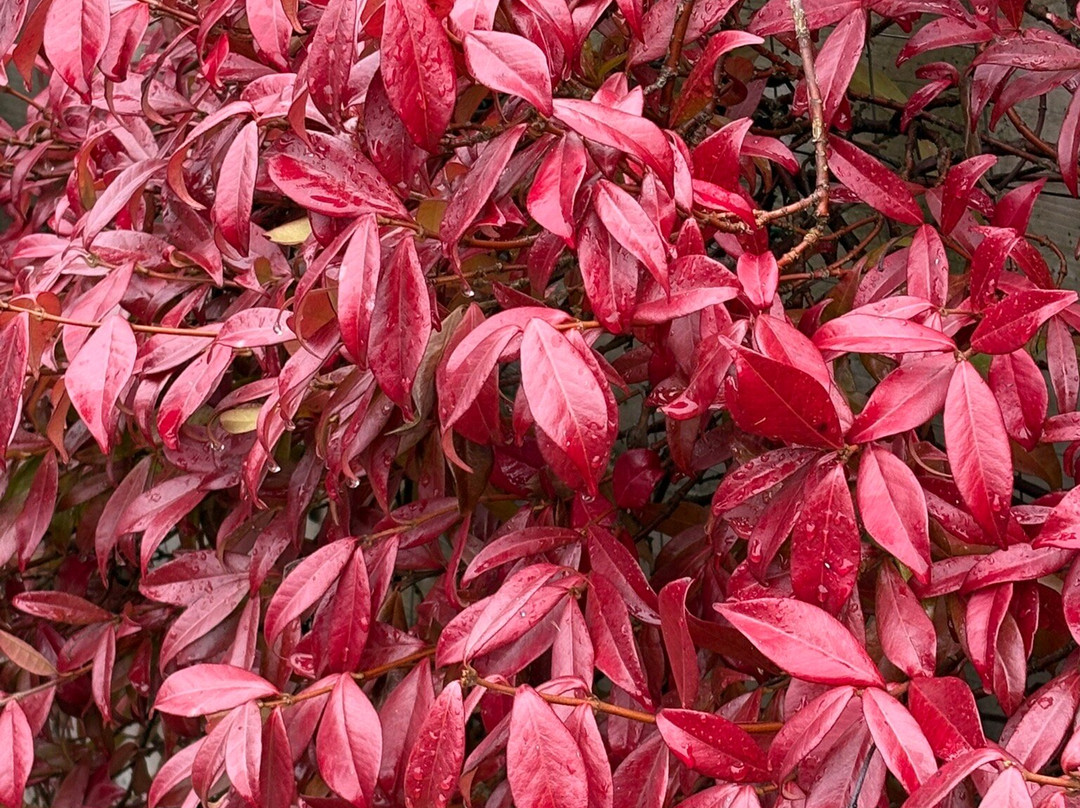 Borgo Piani | Camere Di Charme主图