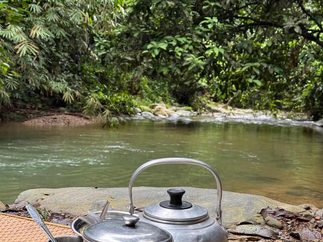 Sumatra Orangutan Trip-武吉拉旺必去景点