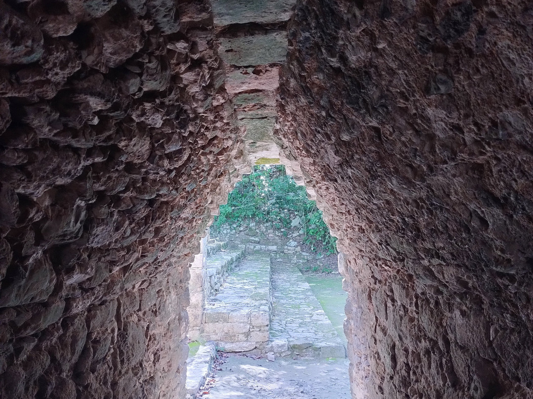 Zona Arqueológica de Muyil-Chunyaxche必去景点