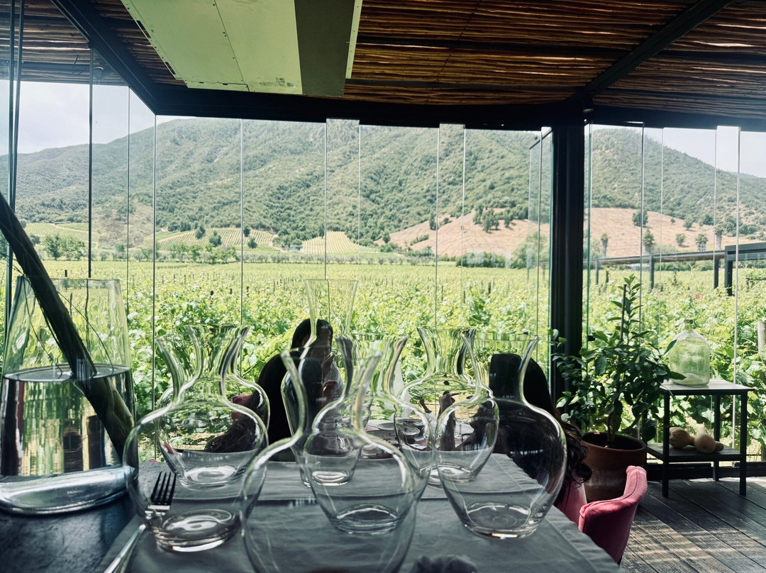Colchagua Wine Tours-圣克鲁斯必去景点