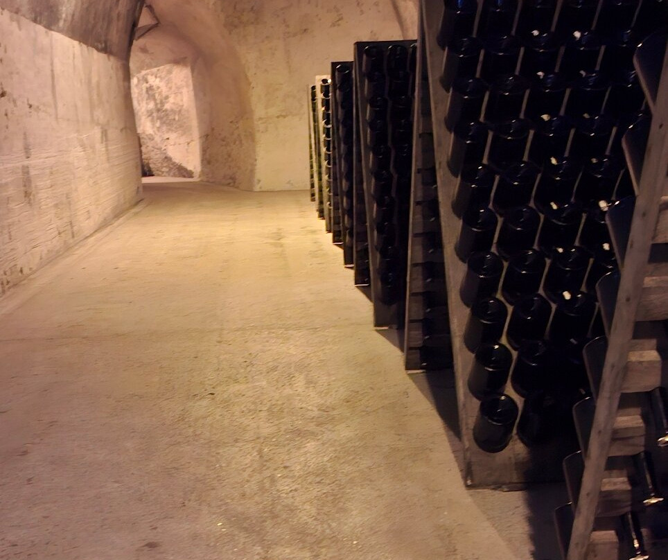 Champagne Taittinger-兰斯必去景点