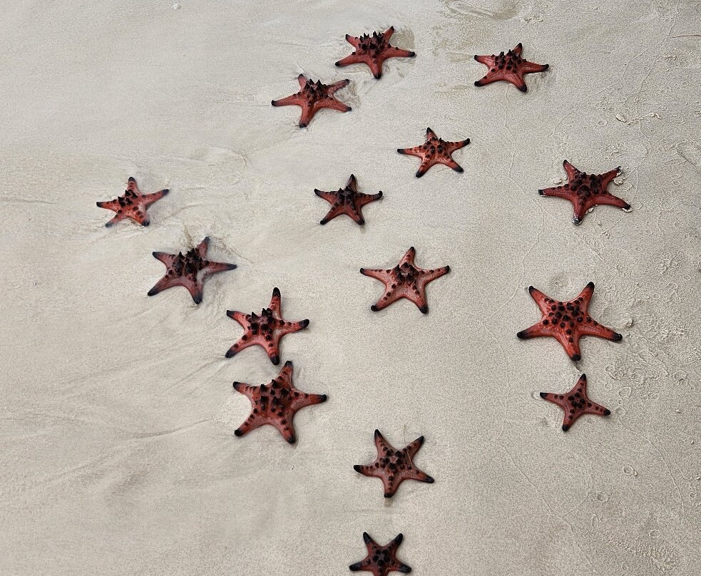 海星沙灘-Ganh Dau必去景点