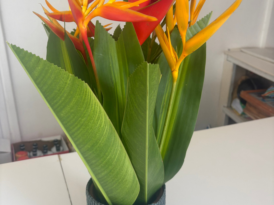 Hotel Petit Brussel主图