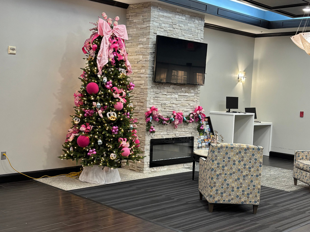 La Quinta Inn & Suites by Wyndham Mt. Pleasant主图