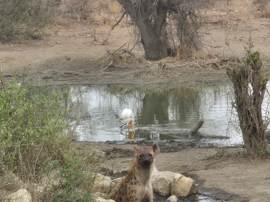 Moriti Private Safaris-克鲁格国家公园必去景点