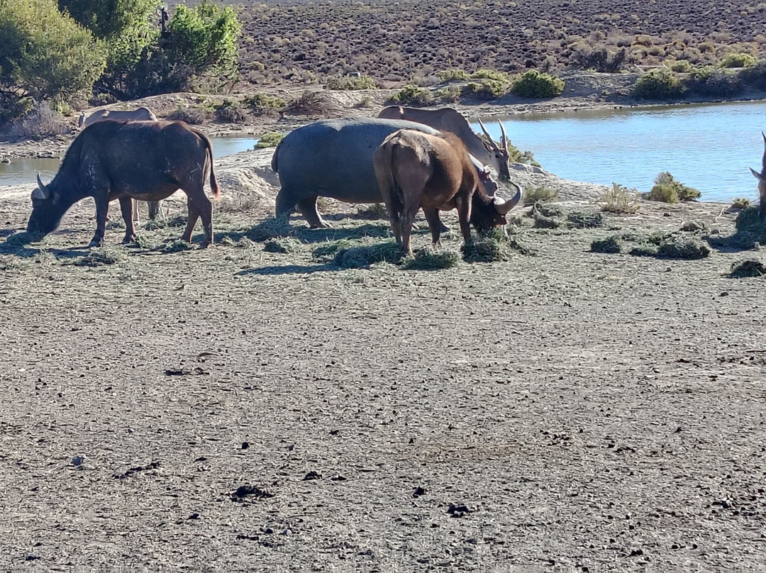 Mont Eco Game Reserve主图