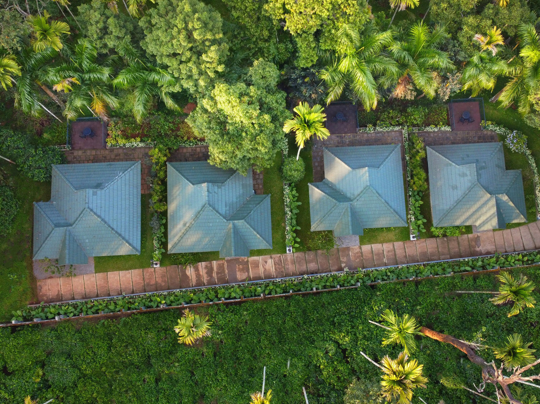 The Woods Resorts Wayanad主图