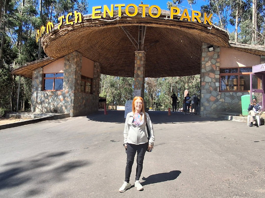 Best Western Premier Dynasty主图