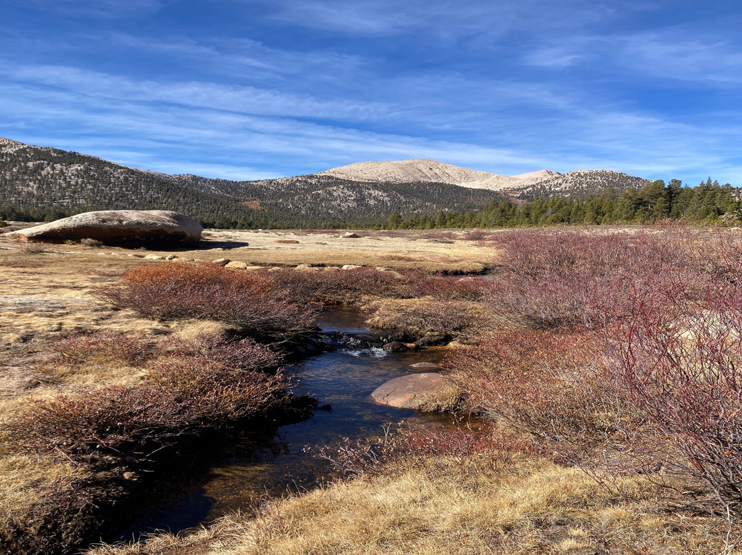 Horseshoe Meadow Trail-隆派恩必去景点