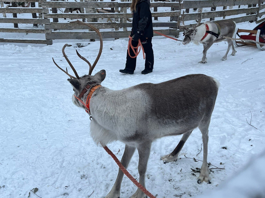 Sunny Safari-罗瓦涅米必去景点