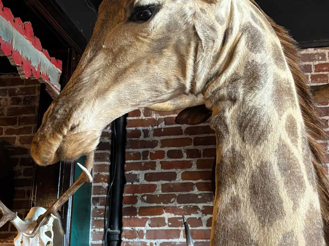 外伯城-坦帕必去景点