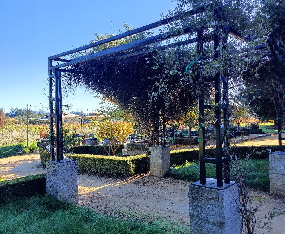 Dry Creek Vineyard-希尔兹堡必去景点