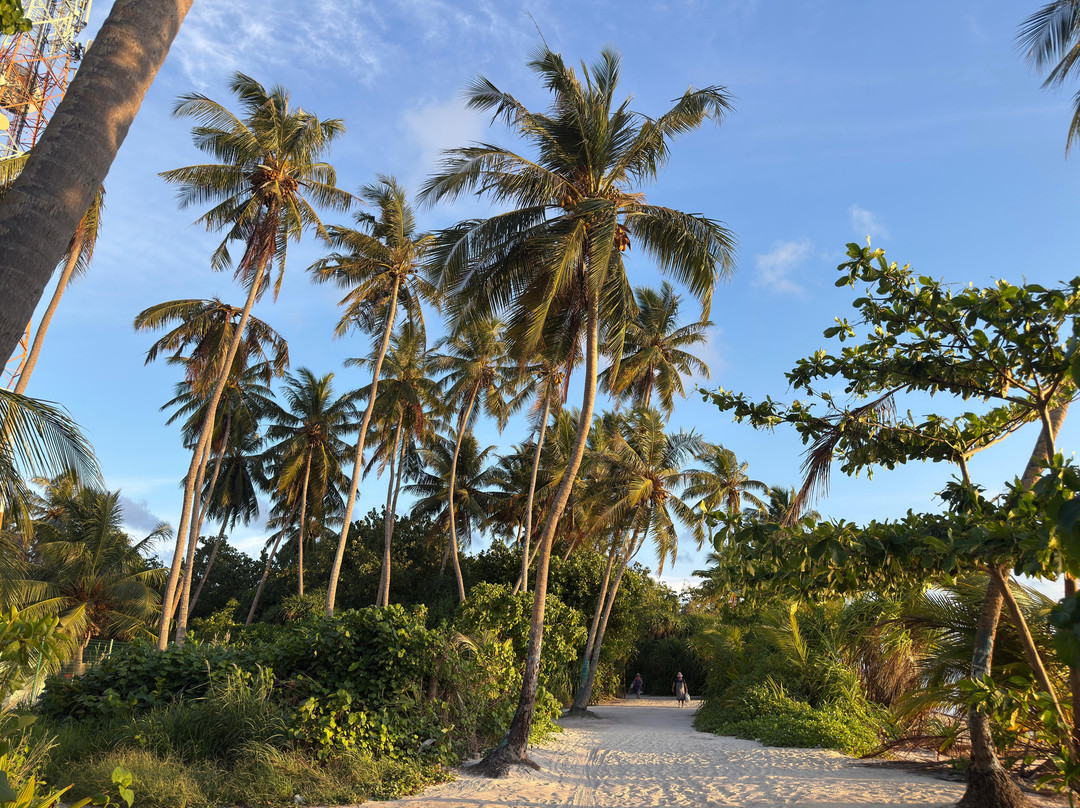 Ari Grand Hotel主图