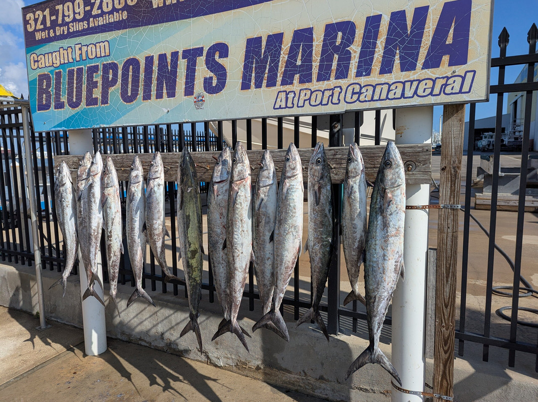 Fired Up Fishing Charters-卡纳维拉尔港必去景点