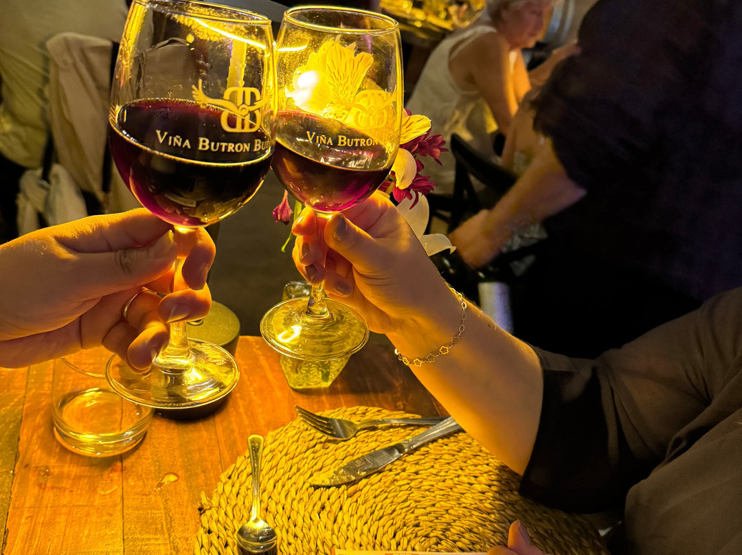 Viña Butron Budinich-兰卡瓜必去景点