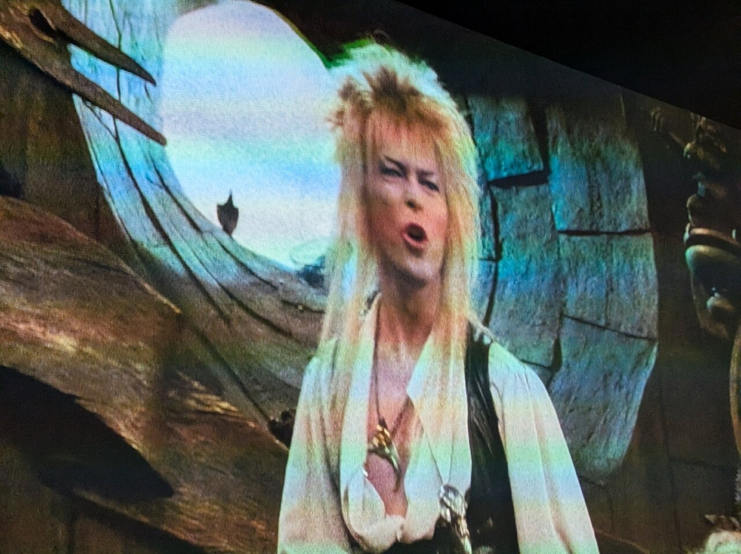 Sheffield City Hall-谢菲尔德必去景点